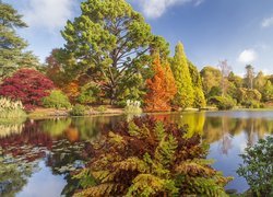 Jesień, Drzewa, Jezioro, Park Sheffield, Sussex, Anglia