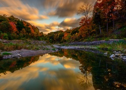Jesienny las i chmury odbijają się w rzece
