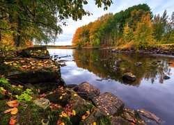 Jesienny las i kamienie na brzegu rzeki