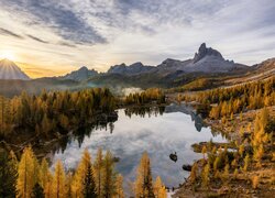 Jesienny las nad jeziorem Federa we włoskich Dolomitach