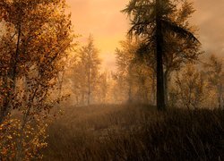 Jesienny las w fabularnej grze akcji The Elder Scrolls V: Skyrim