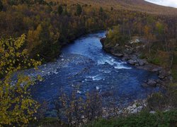 Rzeka Abiskojokk, Las, Drzewa, Krzewy, Skały, Park Narodowy Abisko, Szwecja