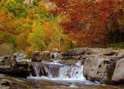 Jesień, Kamienie, Las, Rzeka, Drzewa
