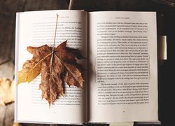 Jesienny liść klonu na otwartej książce