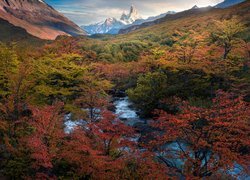 Jesienny Park Narodowy Los Glaciares i góra Fitz Roy w tle