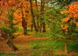 Jesienny park z ławką pod drzewem