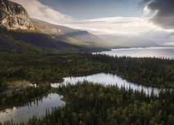 Jeziora otoczone lasami na Półwyspie Kolskim