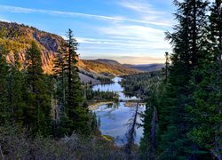 Stany Zjednoczone, Kalifornia, Hrabstwo Mono, Góra Mammoth Mountain, Jeziora Twin Lakes, Góry, Świerki