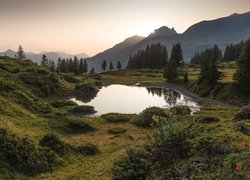 Jeziorko alpejskie na przełęczy Grosse Scheidegg w Alpach Berneńskich