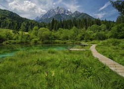 Góry, Lasy, Jezioro, Rezerwat przyrody Zelenci, Trawa, Pomost, Kranjska Gora, Słowenia