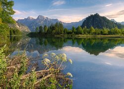 Góry, Jezioro Almsee, Odbicie, Drzewa, Chmury, Austria