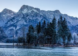 Austria, Góry Alpy, Dolina Almtal, Jezioro Almsee, Drzewa