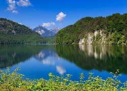 Niemcy, Bawaria, Jezioro Alpsee, Góry Alpy Bawarskie, Rośliny Jezioro