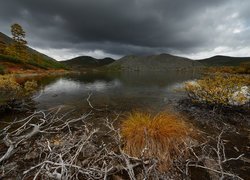 Góry, Jezioro Anemone, Kępka, Trawy, Suche, Gałęzie, Kołyma, Obwód magadański, Rosja