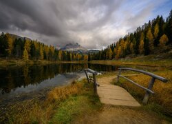 Góry, Dolomity, Las, Drzewa, Jezioro, Antorno Lake, Mostek, Trawa, Chmury, Jesień, Włochy