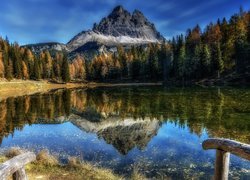 Jezioro Antorno Lake, Góry Dolomity, Masyw Tre Cime di Lavaredo, Odbicie, Drzewa, Prowincja Belluno, Włochy