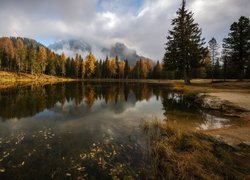 Góry, Dolomity, Las, Jezioro Antorno, Drzewa, Region Cadore, Włochy