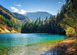 Jezioro Arrow Bamboo w Parku Narodowym Jiuzhaigou  w Chinach