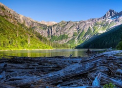 Stany Zjednoczone, Stan Montana, Park Narodowy Glacier, Jezioro Avalanche, Góry, Kłody