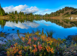 Jezioro Basin Lake w Parku Narodowym Olympic jesienią