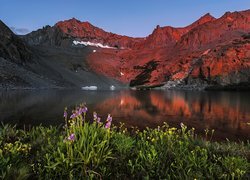 Góry, Sierra Nevada, Kwiaty, Jezioro, Birch Lake, Kalifornia, Stany Zjednoczone