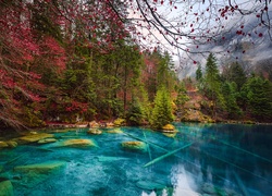 Szwajcaria, Kanton Berno, Jezioro Blausee, Kamienie, Jesień, Las, Drzewa