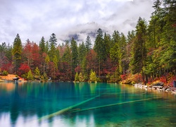 Szwajcaria, Wyżyny Berneńskie, Jezioro Blausee, Ławka, Jesień, Las, Drzewa