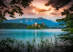 Jezioro Bled, Wyspa Blejski Otok, Góry, Alpy Julijskie, Drzewa, Gałęzie, Chmury, Zachód słońca, Słowenia