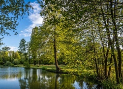 Jezioro Bobovica w Chorwacji otoczone letnimi drzewami