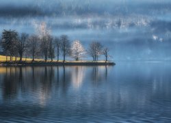 Jezioro Bohinj, Mgła, Drzewa, Triglavski Park Narodowy, Słowenia