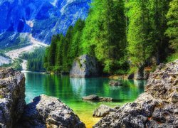 Włochy, Region Trydent-Górna Adyga, Jezioro Braies - Pragser Wildsee, Skały, Jezioro, Góry, Lasy