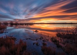 Stany Zjednoczone, Kolorado, Jezioro Chatfield, Chmury, Zachód słońca, Drzewa, Odbicie