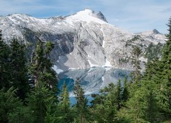 Jezioro Cyclone Lake, Hrabstwo Garfield, Stan Utah, Stany Zjednoczone, Góry, Drzewa