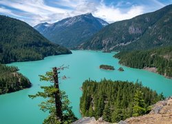 Jezioro, Diablo Lake, Góry, Drzewa, Park Narodowy Północnych Gór Kaskadowych, Stan Waszyngton, Stany Zjednoczone