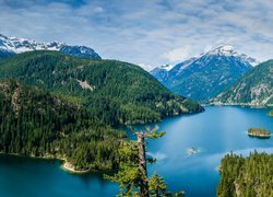 Stany Zjednoczone, Stan Waszyngton, Park Narodowy Północnych Gór Kaskadowych, Jezioro Diablo Lake, Góry, Lasy, Panorama