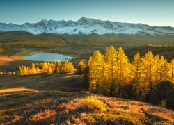 Jesień, Góry Północnoczujskie, Drzewa, Jezioro Dzhangyskol, Ałtaj, Rosja