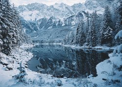 Zima, Góry, Alpy Bawarskie, Jezioro Eibsee, Las, Drzewa, Bawaria, Niemcy