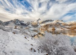 Hiszpania, Kastylia i León, Jezioro Embalse de Riaño, Zima, Góry,  Krzewy, Drzewa, Śnieg