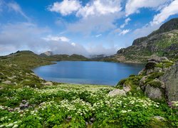 Francja, Góry Pireneje, Kamienie, Jezioro, Etang De Fontargentes, Skała, Kwiaty, Rośliny, Chmury