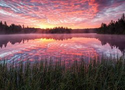 Jezioro Etang de la Gruere pod zaróżowionym niebem