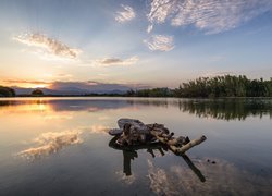 Jezioro Etang del Sale, Gmina Aleria, Korsyka, Francja, Zachód słońca, Drzewa, Suchy, Konar, Drzewa