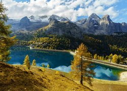 Jezioro, Fedaia Lake, Góry, Drzewa, Prowincja Belluno, Włochy