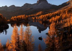 Jezioro Federa Lake otoczone modrzewiami