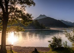 Austria, Góry, Alpy, Jezioro, Fuschlsee Lake, Drzewo, Ławka, Krzewy, Wschód słońca