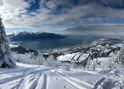 Zima, Śnieg, Drzewa, Góry Alpy, Jezioro Genewskie, Montreux, Szwajcaria