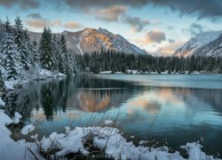 Zima, Drzewa, Lasy, Śnieg, Góry Kaskadowe, Jezioro Gold Creek Pond, Stan Waszyngton, Stany Zjednoczone