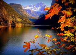 Góry Dachstein, Jezioro, Gosauseen, Lasy, Drzewa, Powiat Gmunden, Gosau, Austria