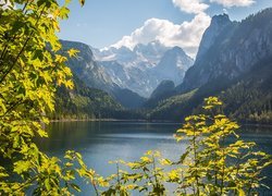 Jezioro Gosauseen, Góry, Alpy Salzburskie, Lasy, Drzewa, Powiat Gmunden, Austria