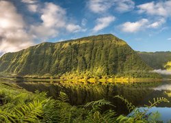 Zalesione, Góry, Jezioro, Grand Etang, Rośliny, Paprocie, Saint-Benoît, Wyspa Reunion, Francja