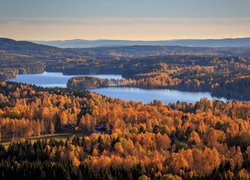 Jesień, Lasy, Drzewa, Jezioro, Lake Gunnern, Gunnarskog, Gmina Arvika, Szwecja